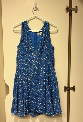 Blue floral sleeveless mini dress