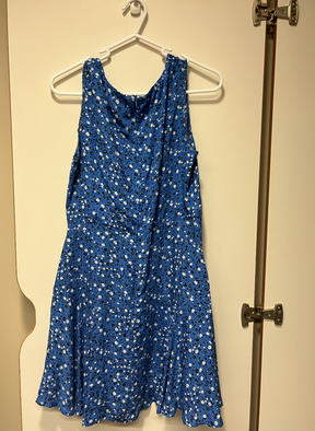 Blue floral sleeveless mini dress